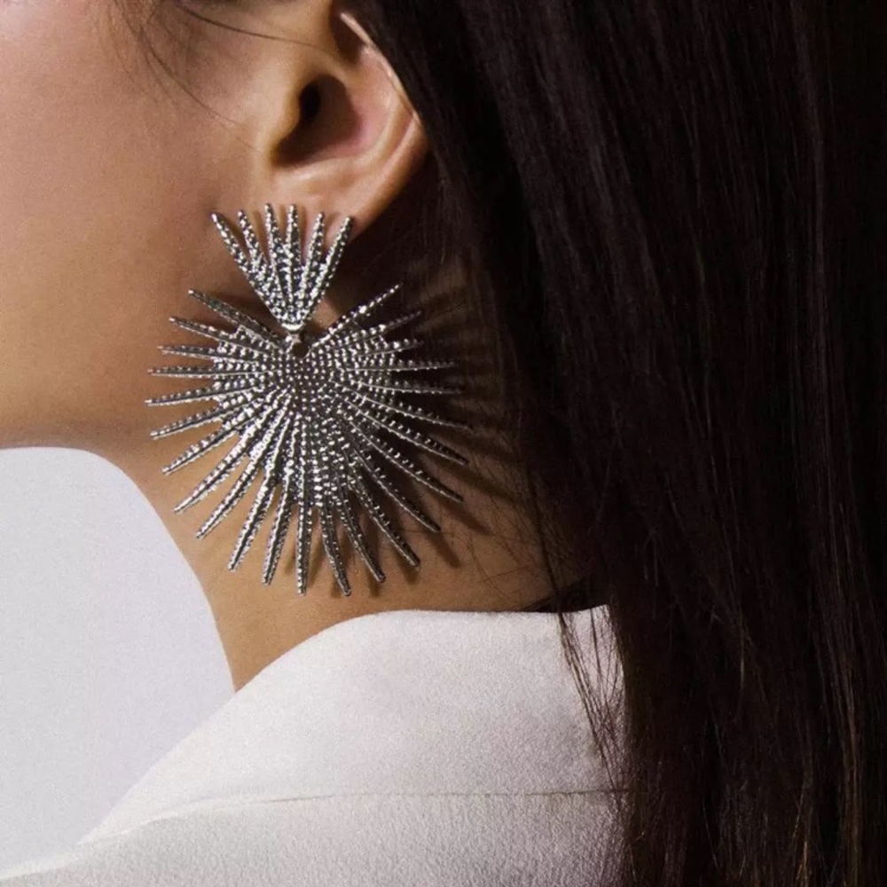 🌟 Big Silver Earrings
